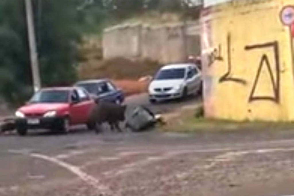 Entregador atacado por javaporco passa por tratamento médico e fica sem renda