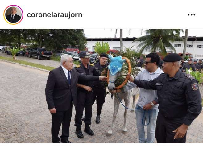 Para o bem do RN, Coronel Araújo deveria seguir o mesmo caminho da égua Aliança