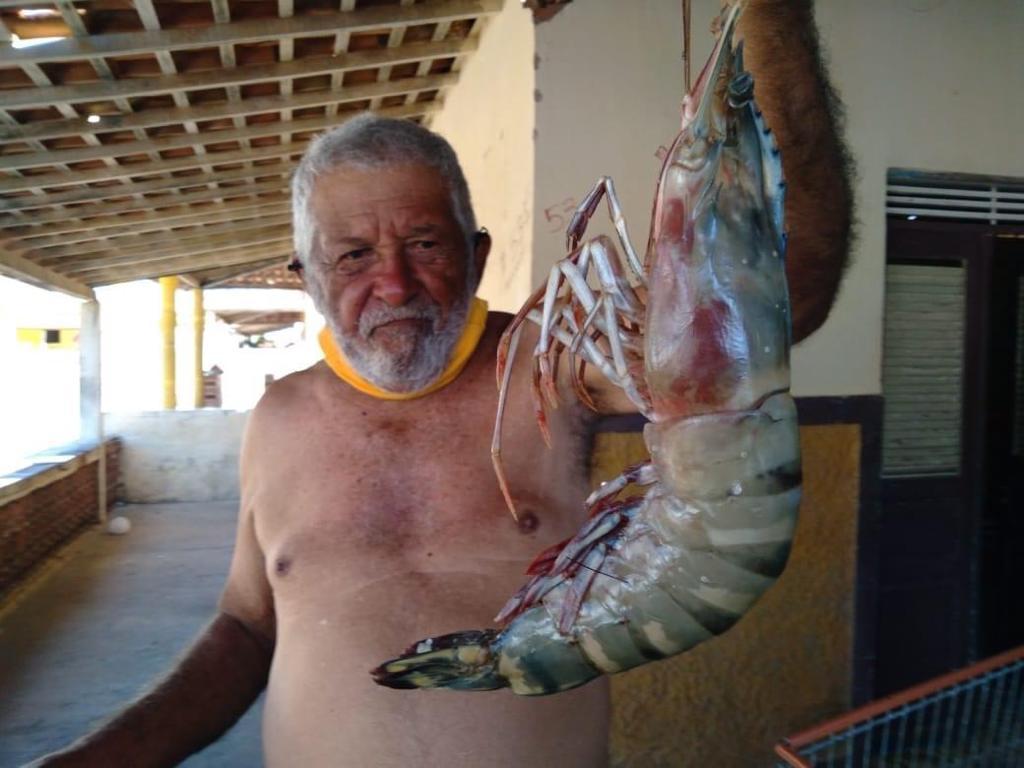 Camarão de 50 cm e meio quilo aparece no RN