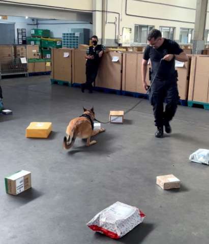 Cães da PF encontram 100 comprimidos de ecstasy em encomenda postal no RN
