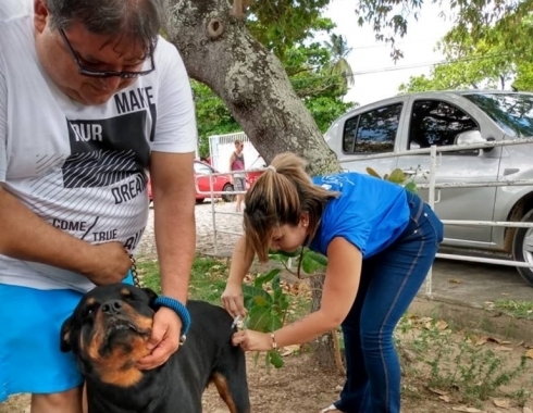 Nova etapa da Campanha de Vacinação Antirrábica 2020 continua em Natal