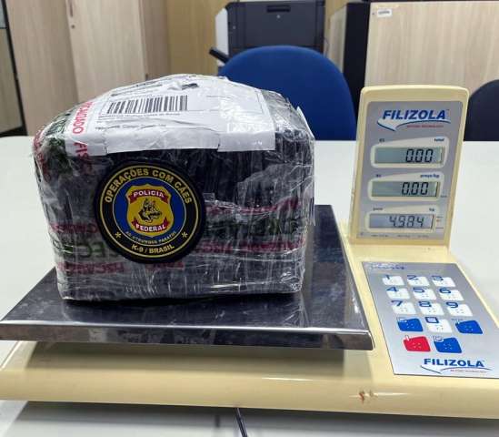 PF apreende maconha 