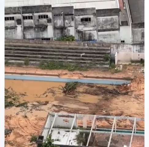 Serviço de porco
