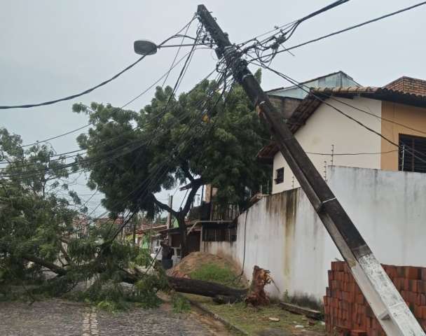 Árvore cai por cima de fiação e deixa ruas de Nova Parnamirim sem fornecimento de energia elétrica