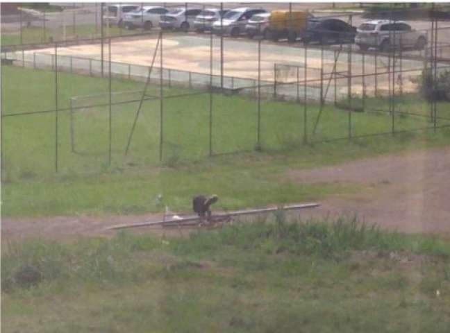 Homem rouba poste, transporta em bicicleta por mais de 1 km e é preso