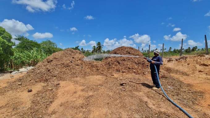 Horto Municipal de Parnamirim inicia reaproveitamento de resíduos provenientes das podas