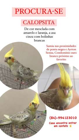 Desaparecida