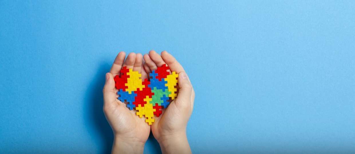 Leis de inclusão social com atenção ao idoso e deficientes são destaques na atuação do vereador Paulinho Freire