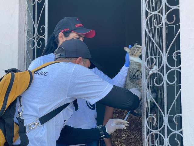 Prefeitura de Macaiba realiza o Dia D da vacinação de cães e gatos próximo sábado (02/09)