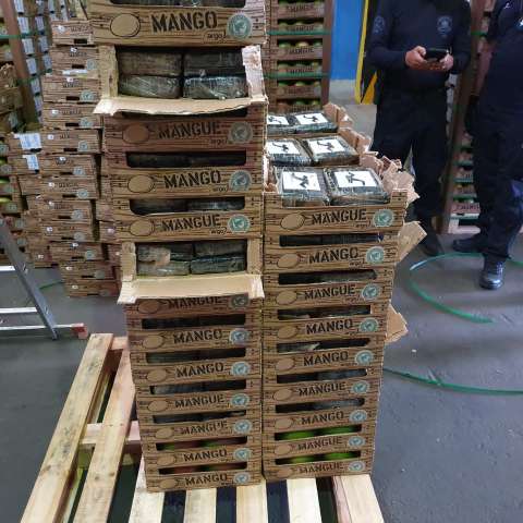 Polícia Federal e Receita Federal apreendem 265 kg de cocaína no Porto de Natal