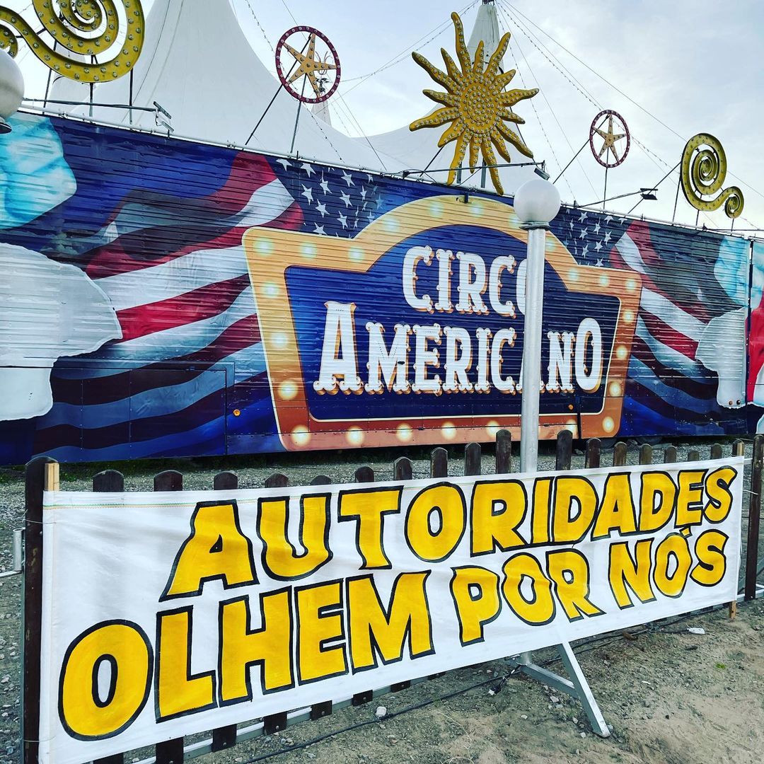 Apelo a governadora: Circo Americano pede ajuda diante da pandemia