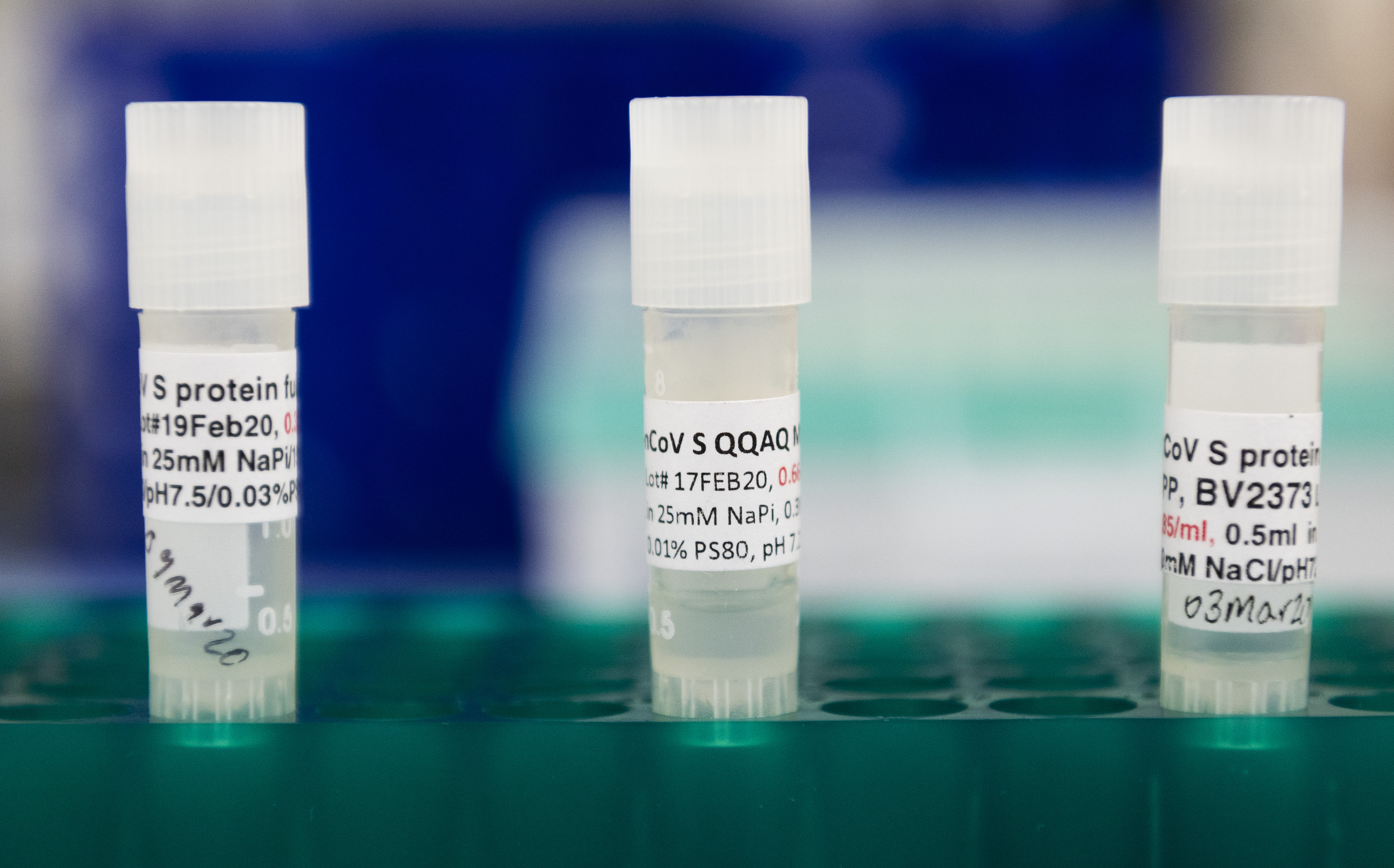 Novavax inicia última fase de testes de vacina contra a covid e priorizará idosos