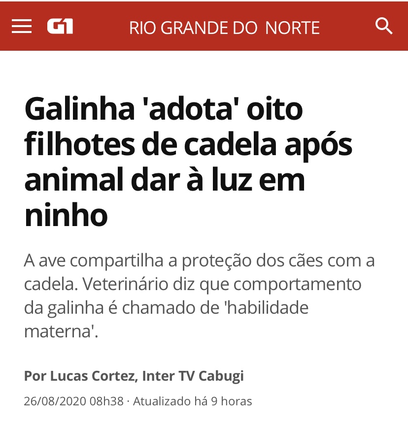 InterTV Cabugi continua com galinhagem