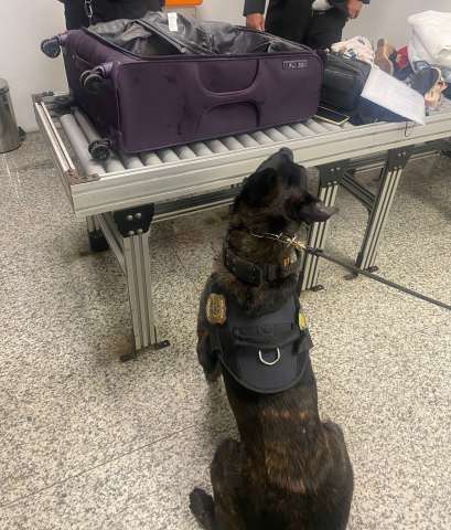 PF prende brasileiros no Aeroporto de São Gonçalo que traficavam cocaína para a Europa