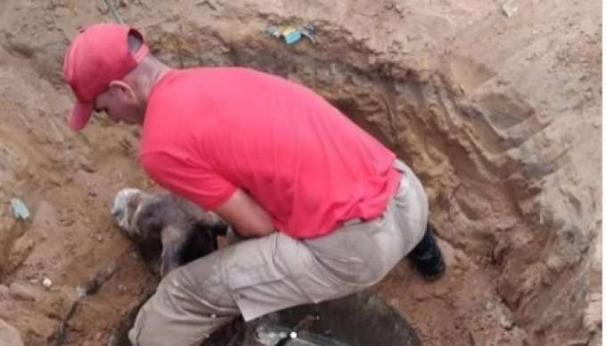 [VÍDEO] Um resgate animal