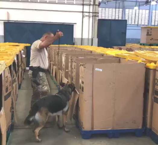 PF apreende maconha enviada via Correios para Natal como Kit de Chá