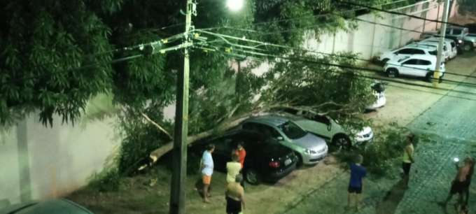 Carros são atingidos por árvore em estacionamento de condomínio em Nova Descoberta