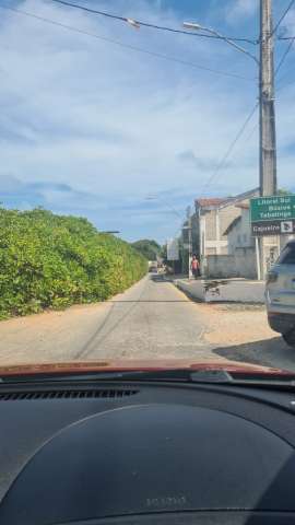 Cajueiro liberado