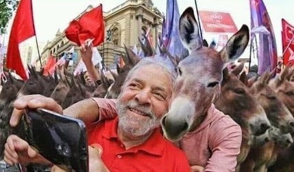 Jumentos podem desaparecer em 2022 - se não conseguirem eleger Lula
