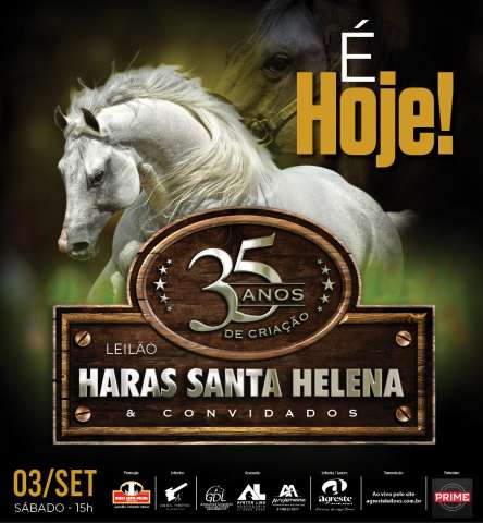 Leilão do Haras Santa Helena
