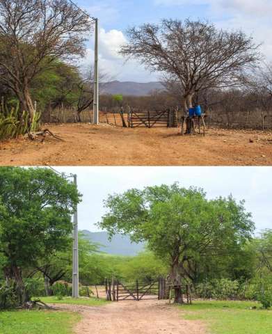 Impressionante: Imagens mostram vegetação do Seridó antes e depois das chuvas