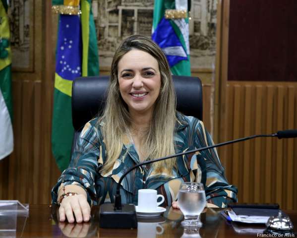 CMN: Aprovado projeto que autoriza mulheres lactantes a utilizar vagas de gestantes