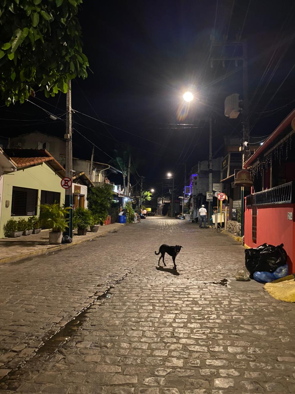 Toque de recolher: Ruas vazias em Pipa
