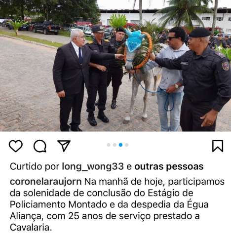Até égua da PM já foi para reserva