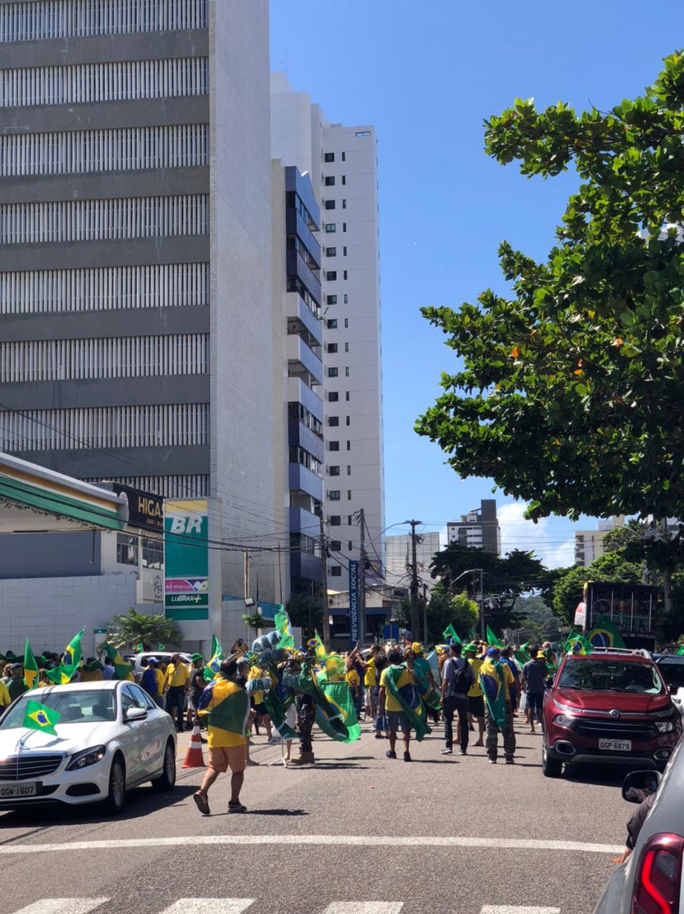 Gatos pingados de verde e amarelo dificultam trânsito em Natal