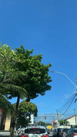 Sorte: Institutos erram e o sol nasce forte