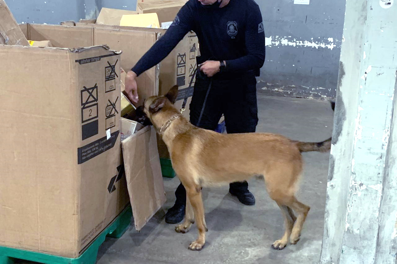 PF apreende cerca de 5 kg de cocaína enviada pelos Correios