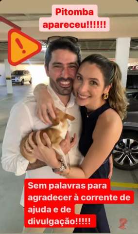 Pitomba apareceu!