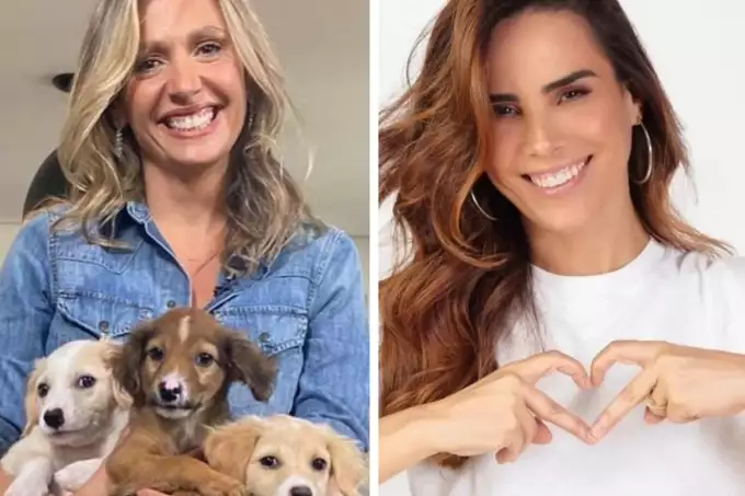 Mundo louco: Vegana, Luisa Mell se manifesta após Wanessa matar mosquito no BBB24