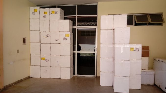 Mossoró investiu quase R$ 7 milhões em compras de mais de 100 mil insulinas