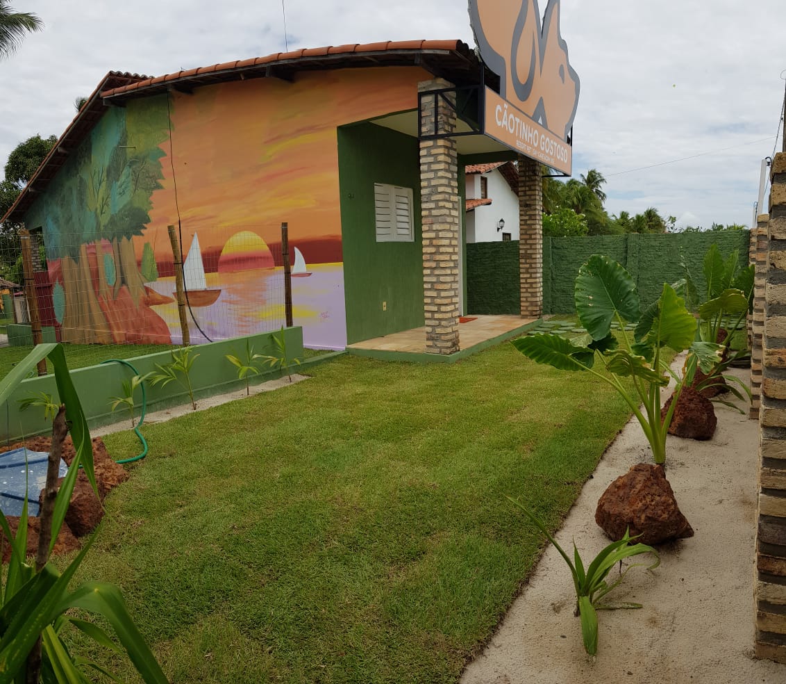 Bom pra cachorro: primeiro resort para pets do RN é inaugurado em São Miguel do Gostoso, com opções de lazer que vão de piscinas a 